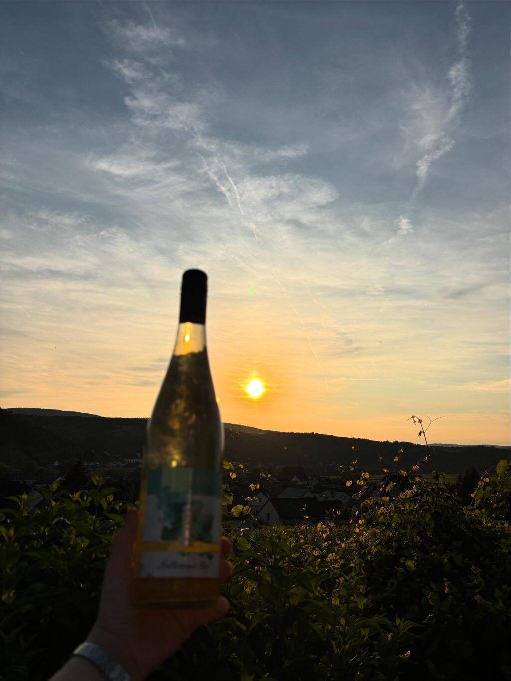 Instagram post from weingut.rauen. This post is in position 5.