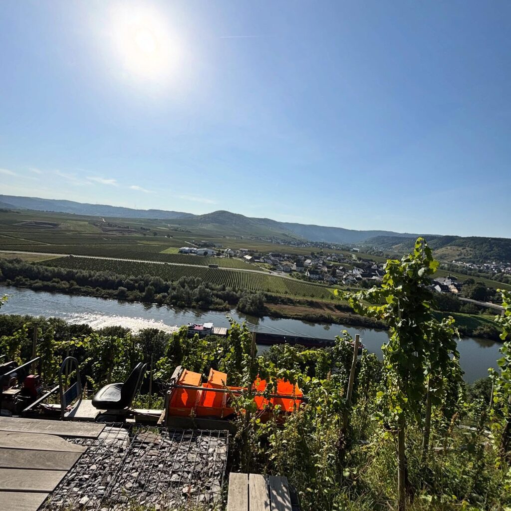 Instagram post from weingut.rauen. This post is in position 2.