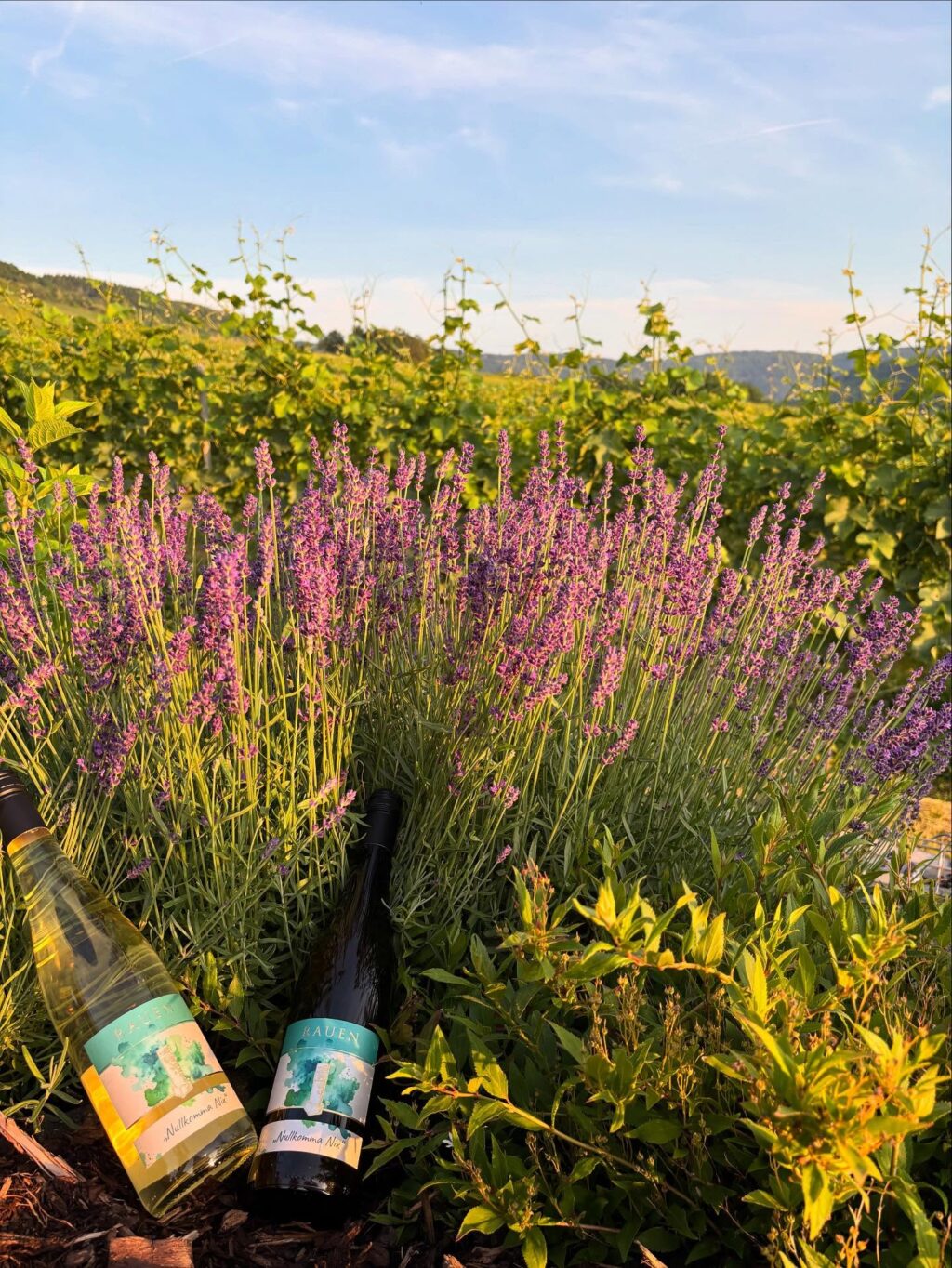 Instagram post from weingut.rauen. This post is in position 2.