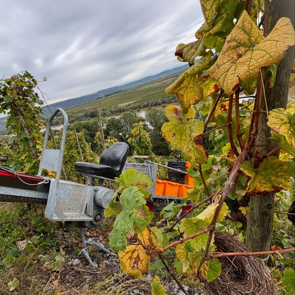 Instagram post from weingut.rauen. This post is in position 0.