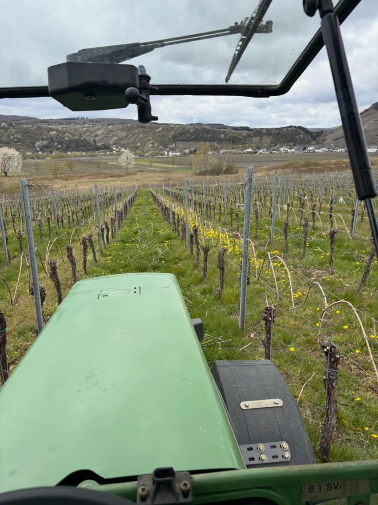 Instagram post from weingut.rauen. This post is in position 2.