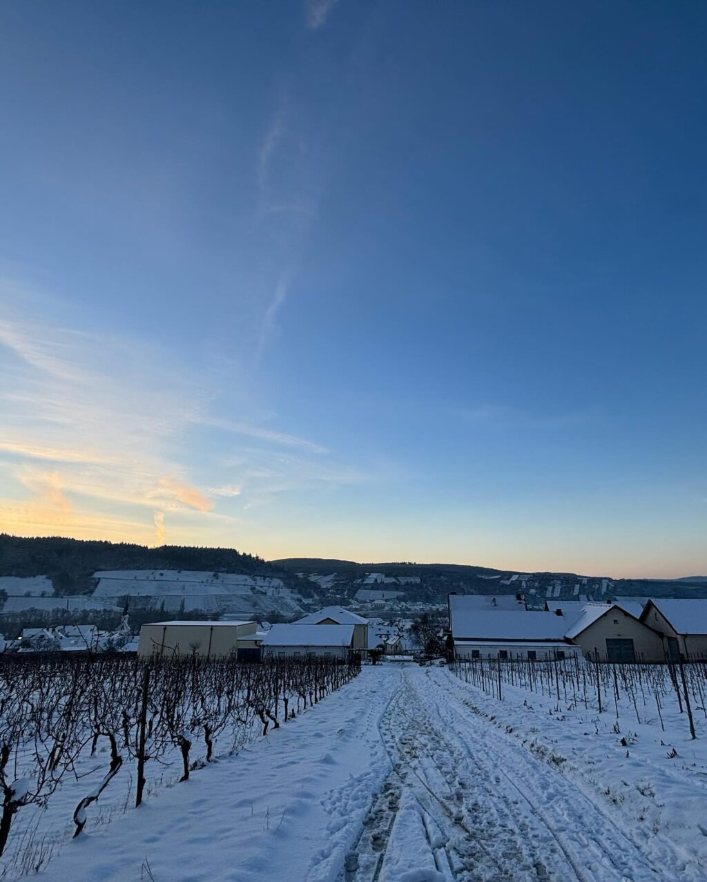 Instagram post from weingut.rauen. This post is in position 2.