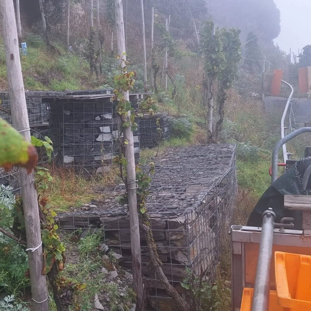 Instagram post from weingut.rauen. This post is in position 5.