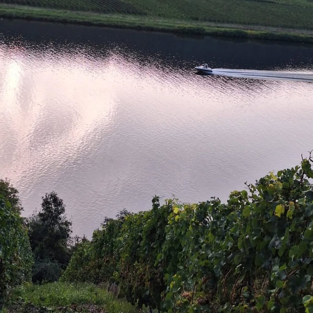 Instagram post from weingut.rauen. This post is in position 9.