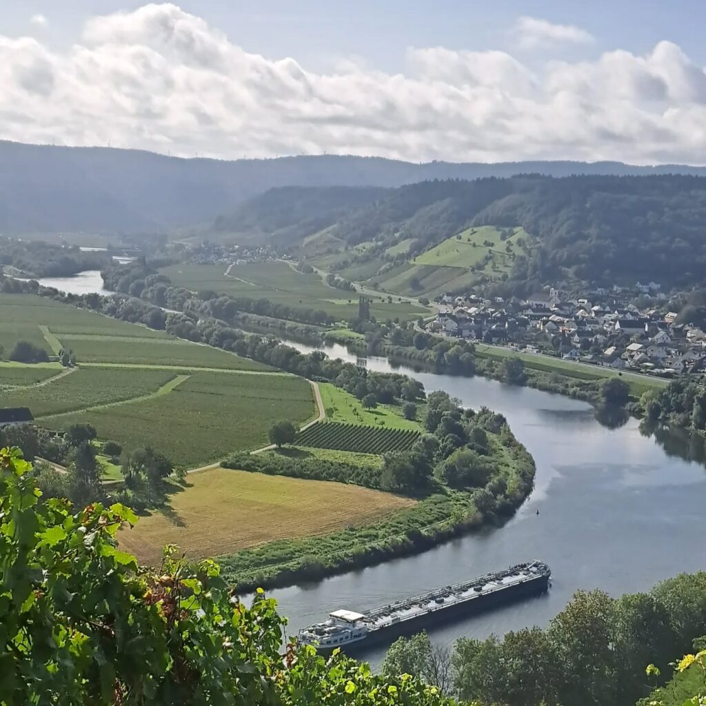 Instagram post from weingut.rauen. This post is in position 8.