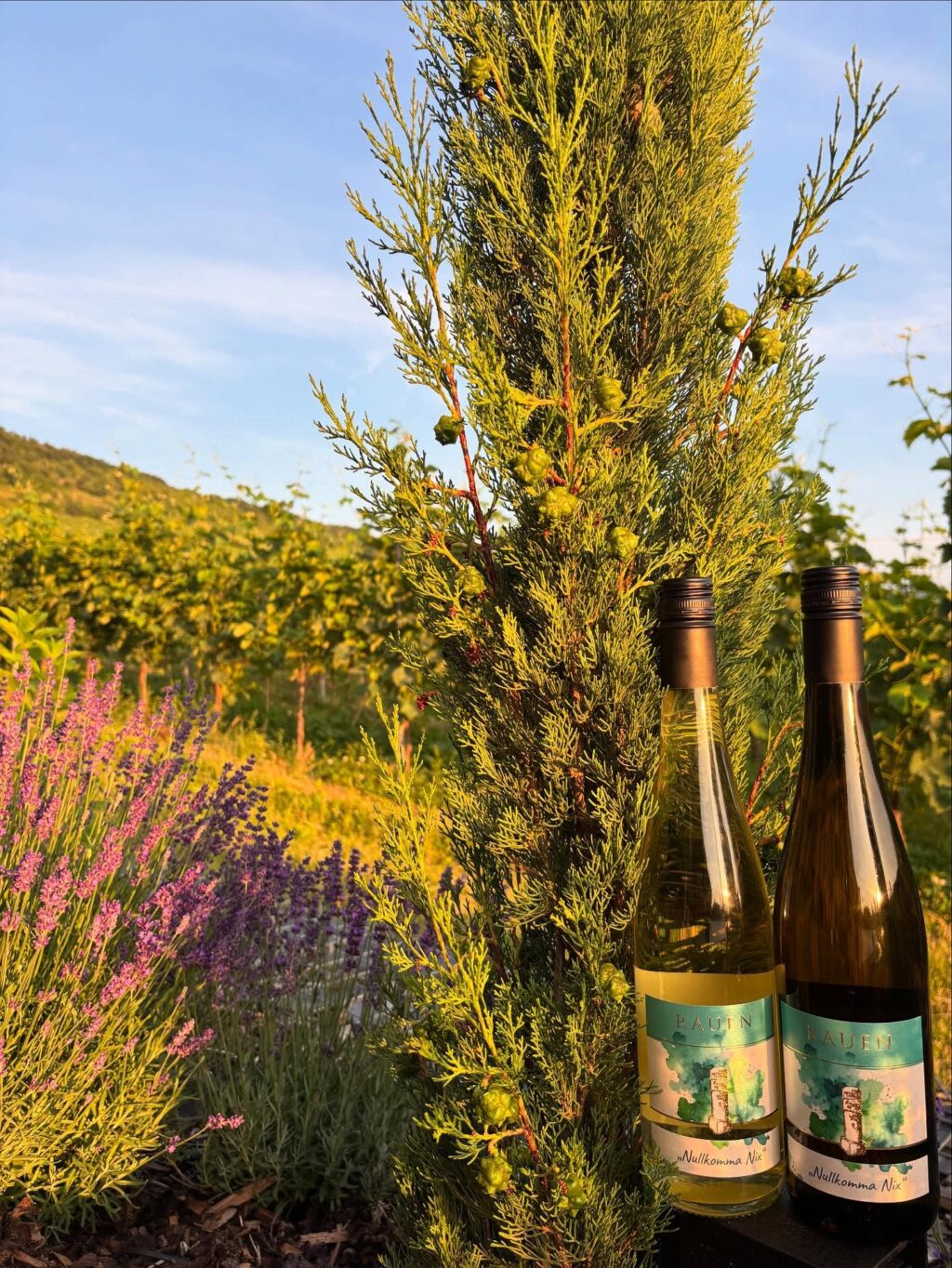 Instagram post from weingut.rauen. This post is in position 3.