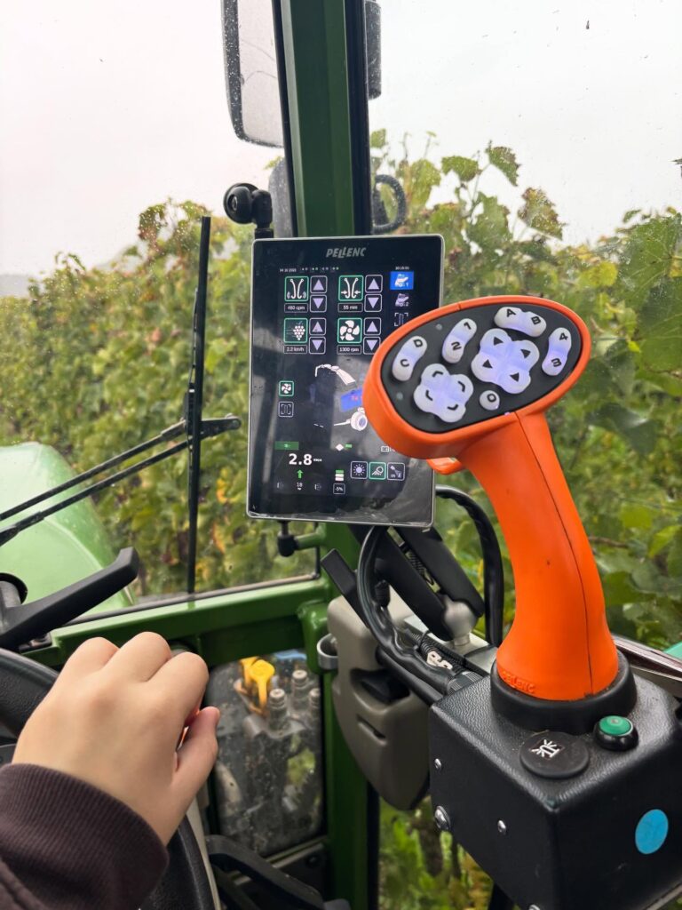 Instagram post from weingut.rauen. This post is in position 3.