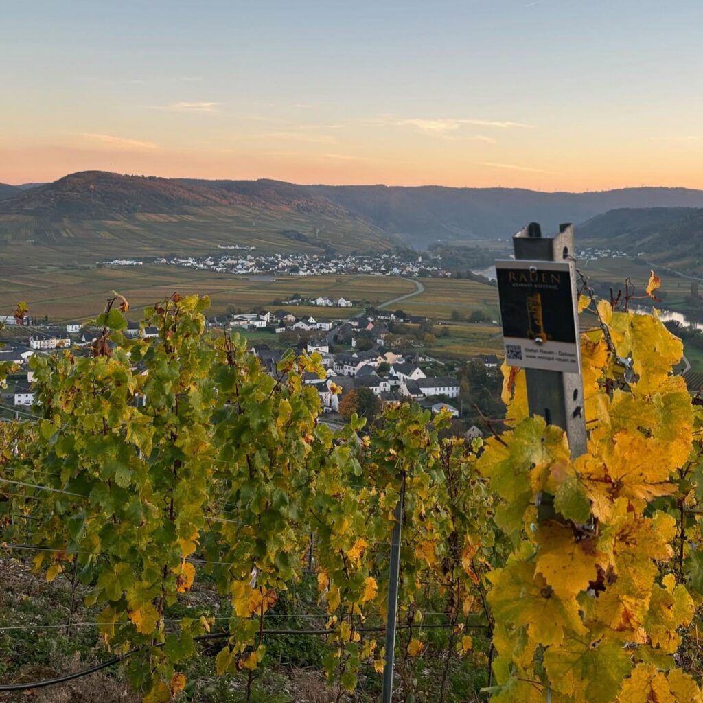 Instagram post from weingut.rauen. This post is in position 1.