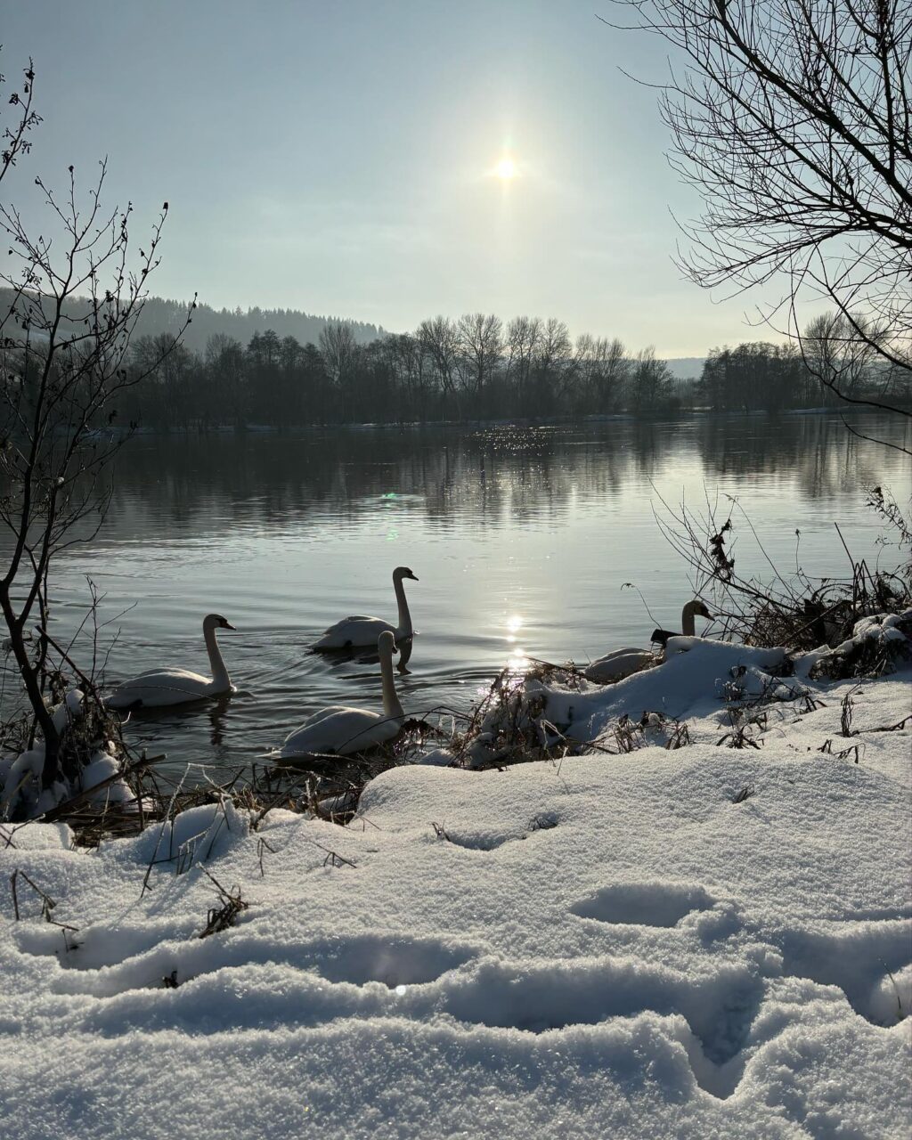 Instagram post from weingut.rauen. This post is in position 1.