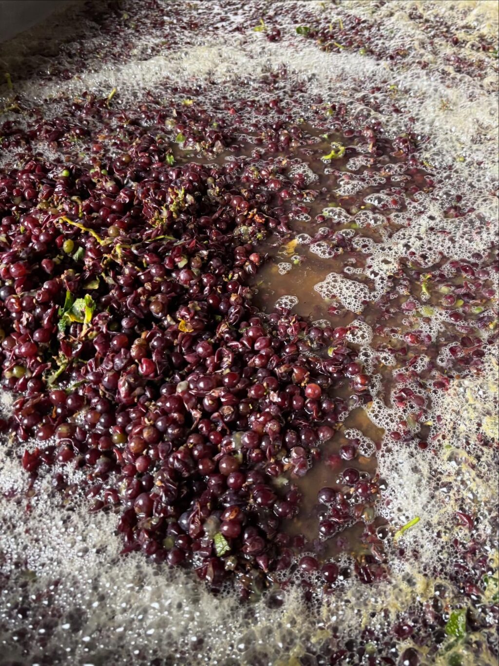 Instagram post from weingut.rauen. This post is in position 2.