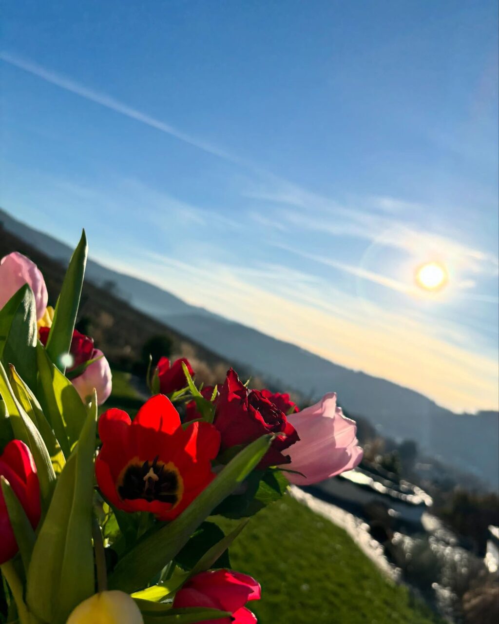 Instagram post from weingut.rauen. This post is in position 3.