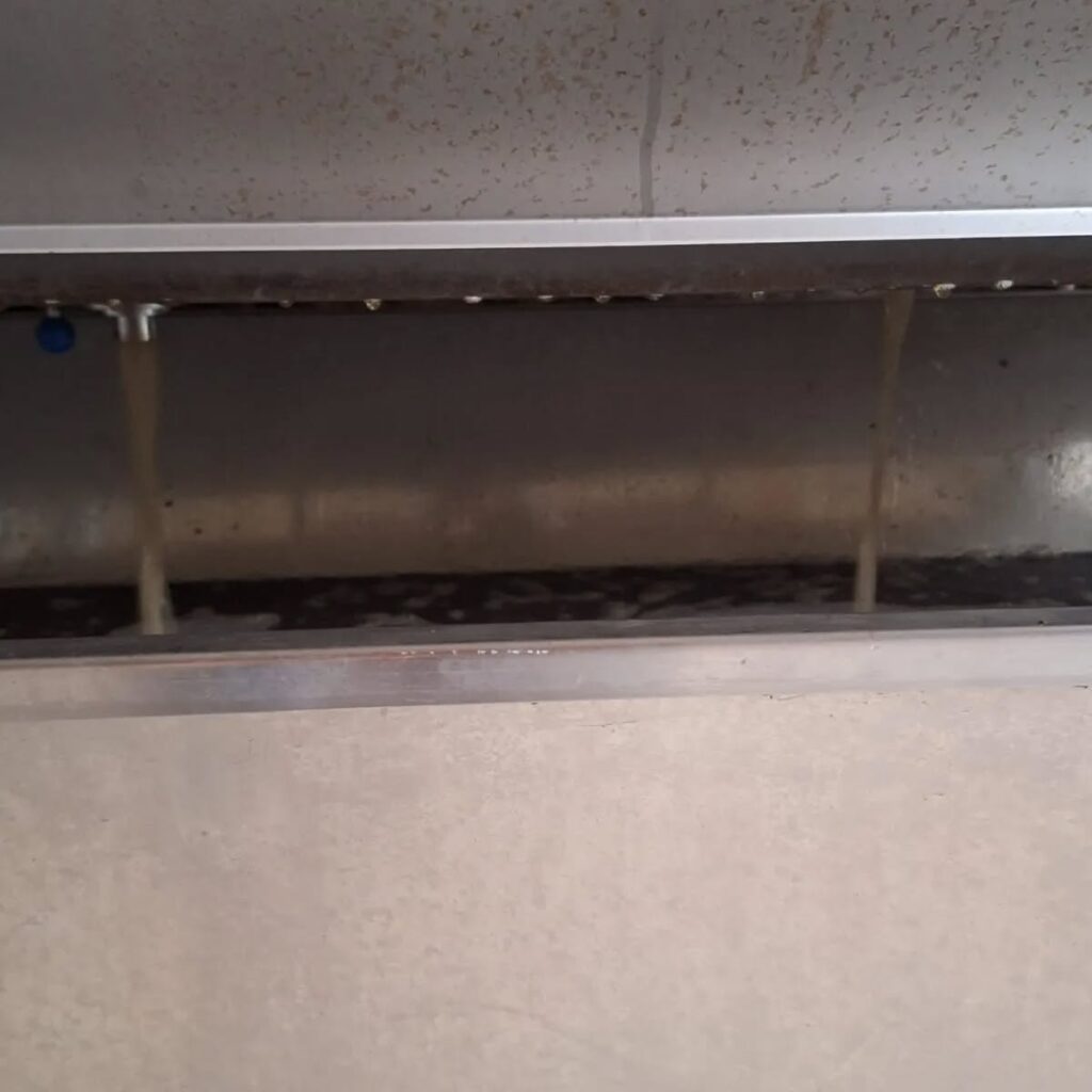 Instagram post from weingut.rauen. This post is in position 4.