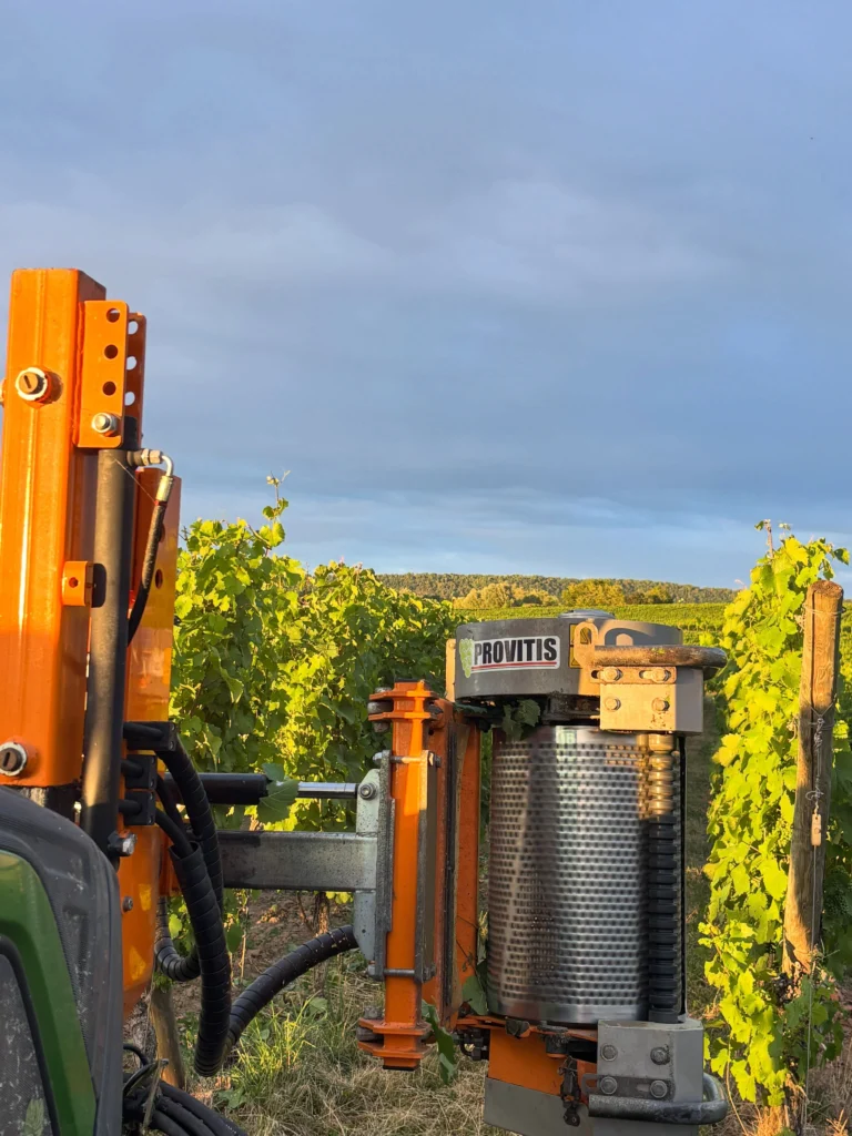 Instagram post from weingut.rauen. This post is in position 2.