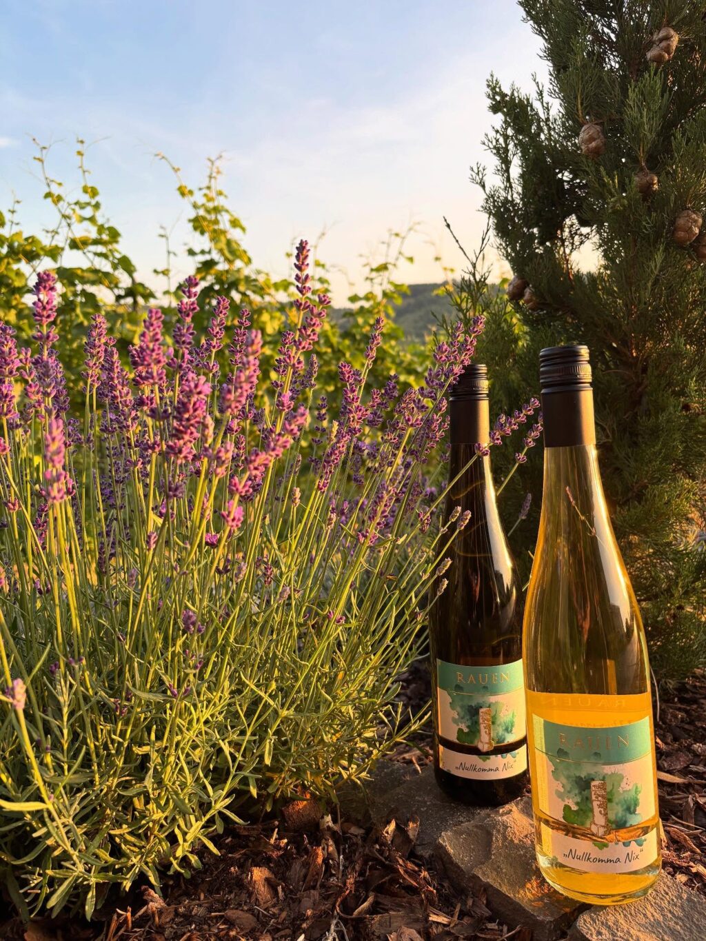 Instagram post from weingut.rauen. This post is in position 0.