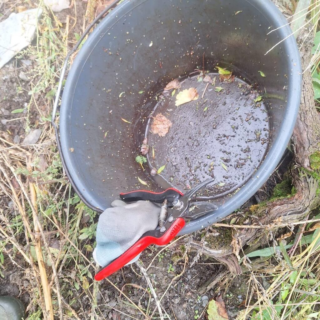 Instagram post from weingut.rauen. This post is in position 3.