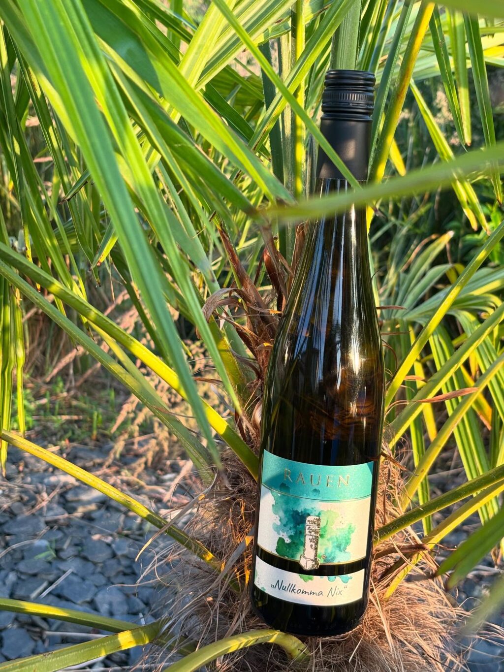 Instagram post from weingut.rauen. This post is in position 1.