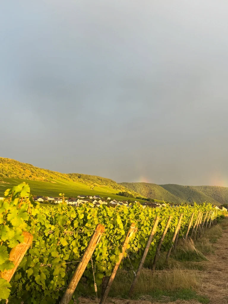 Instagram post from weingut.rauen. This post is in position 4.