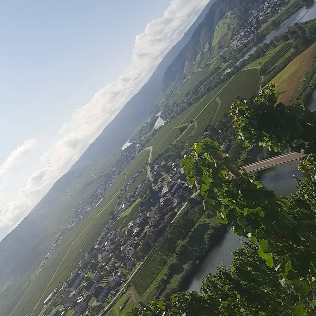 Instagram post from weingut.rauen. This post is in position 2.