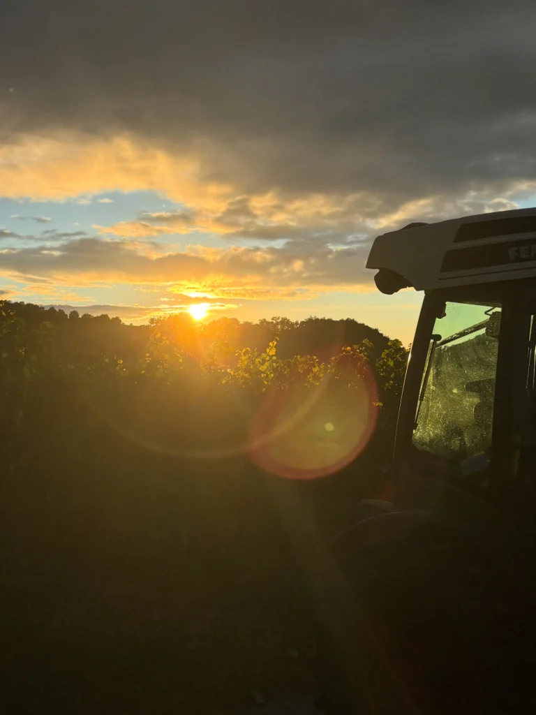 Instagram post from weingut.rauen. This post is in position 1.