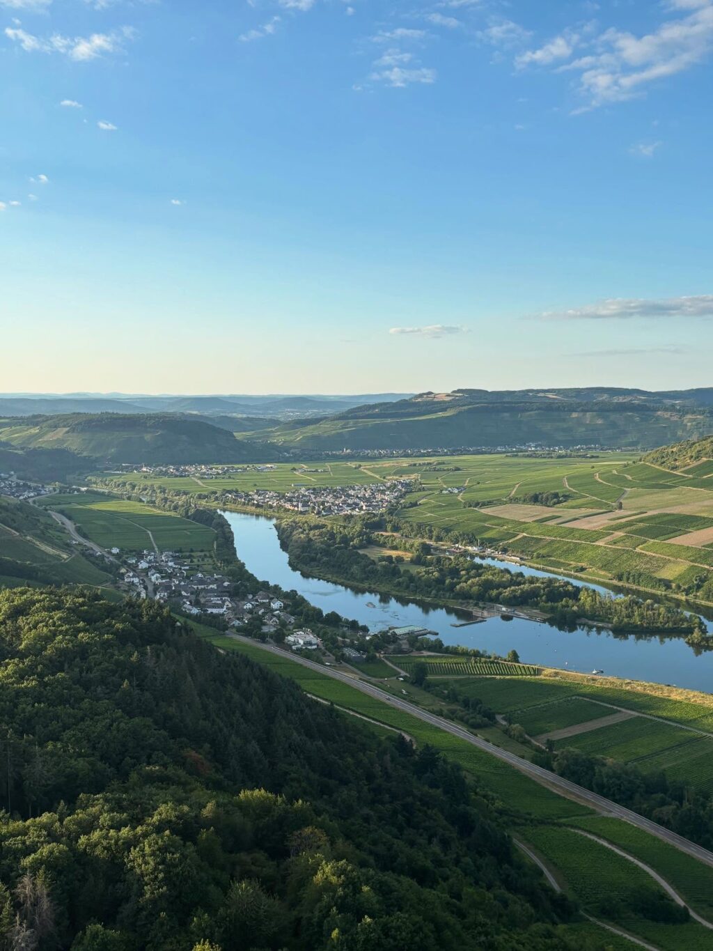 Instagram post from weingut.rauen. This post is in position 3.