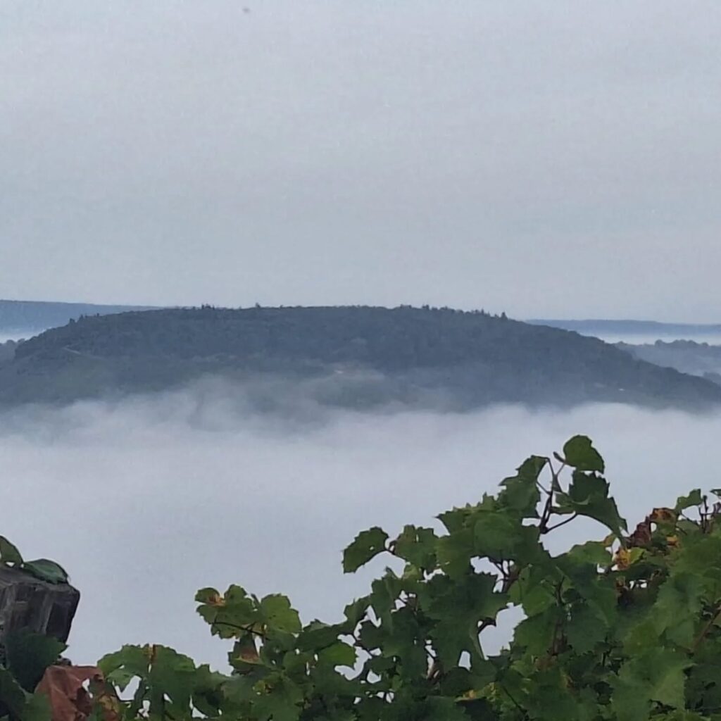 Instagram post from weingut.rauen. This post is in position 5.