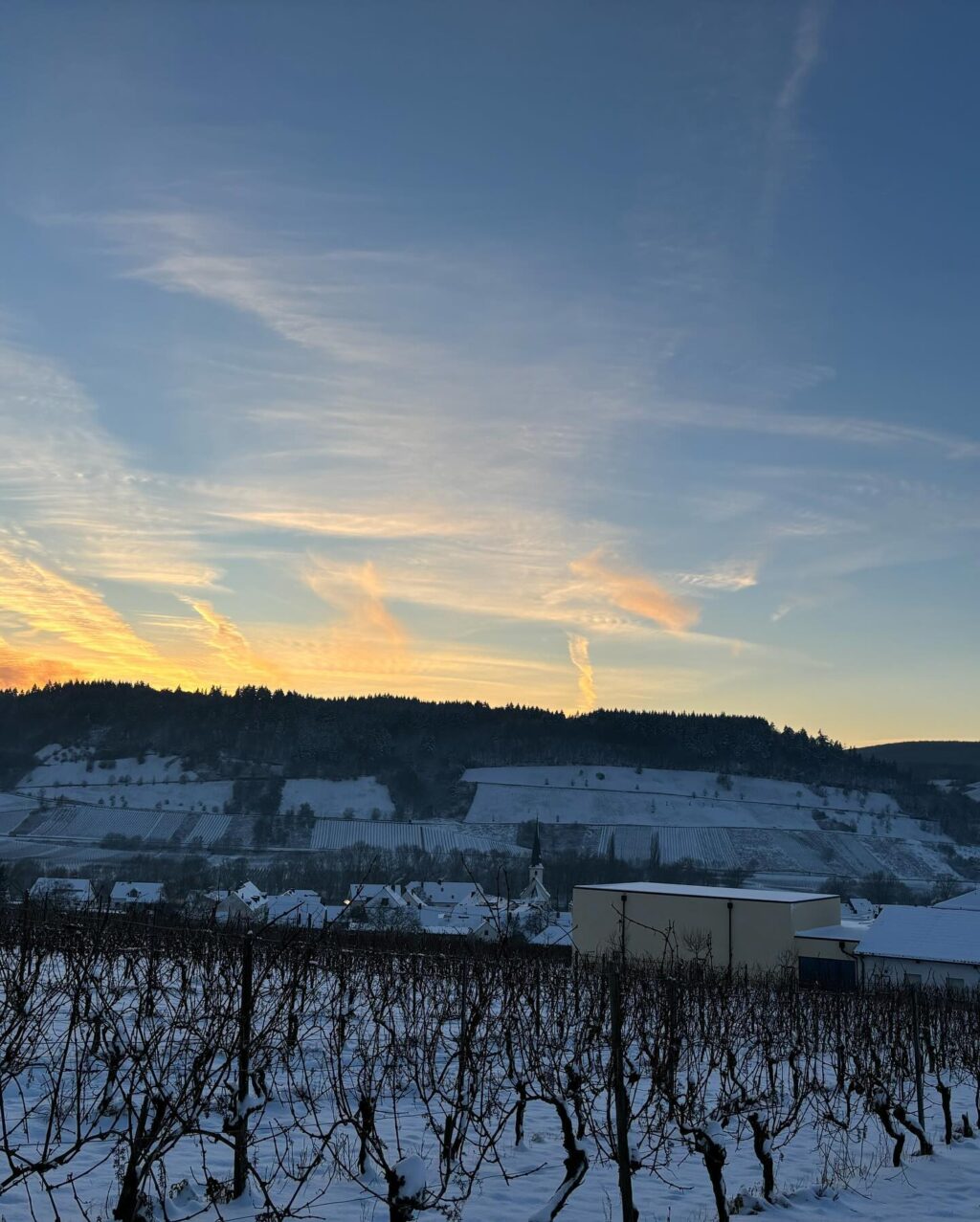 Instagram post from weingut.rauen. This post is in position 4.